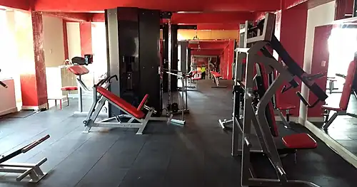 Animal Gym, gimnasio en Chilpancingo, Guerrero