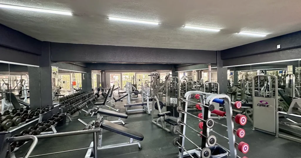 BodyGym