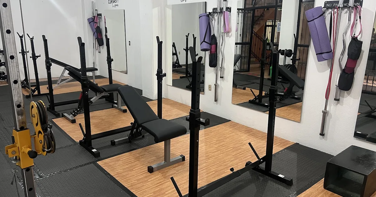 CURVAS EN FORMA GYM