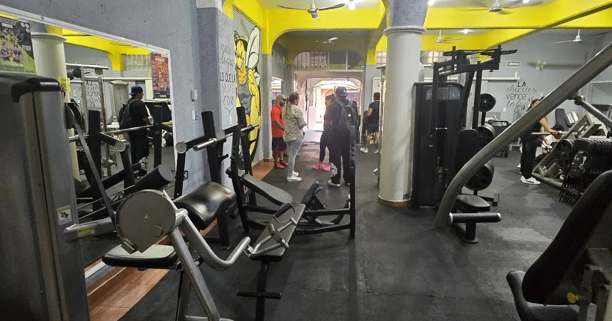 Avispón Gym
