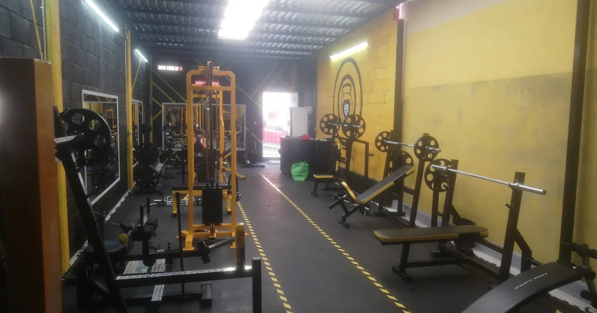 Palacio gym