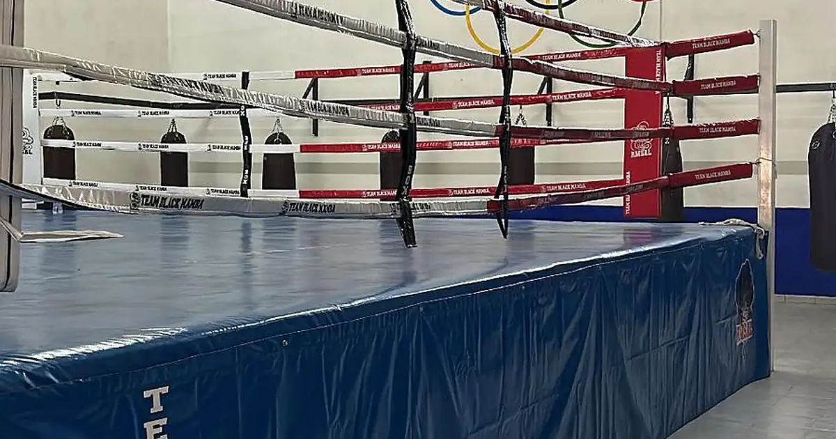 CLUB DE BOX BLACK MAMBA