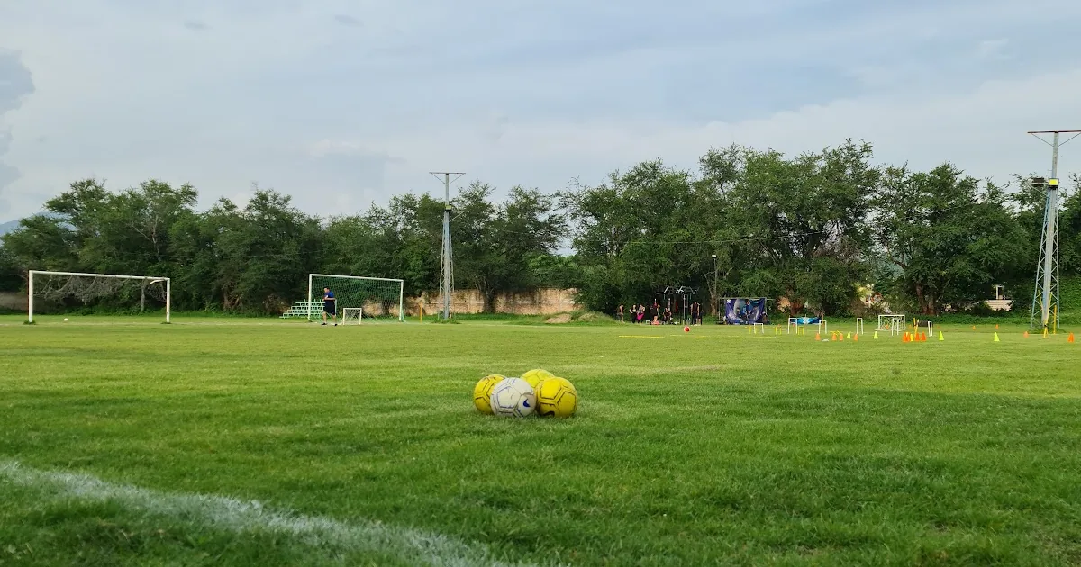 On Fitness Entrenamiento Con Ciencia