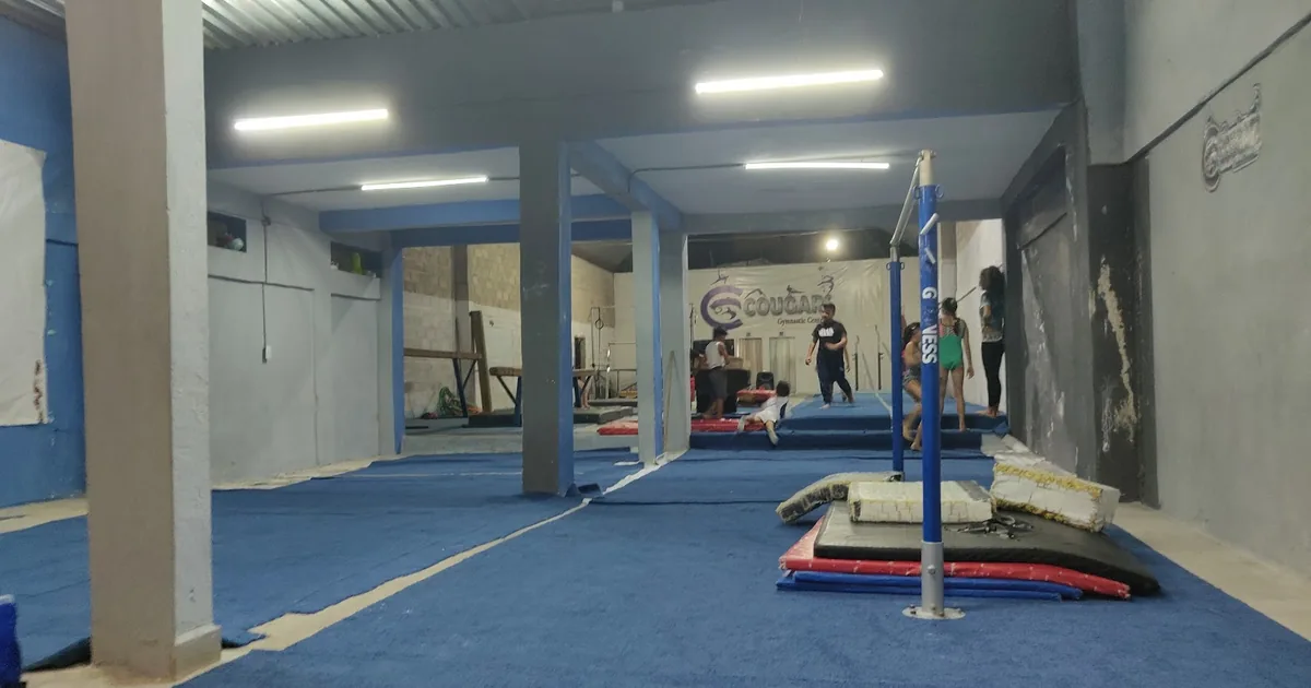 Cougars Gymnastics & Parkour Center