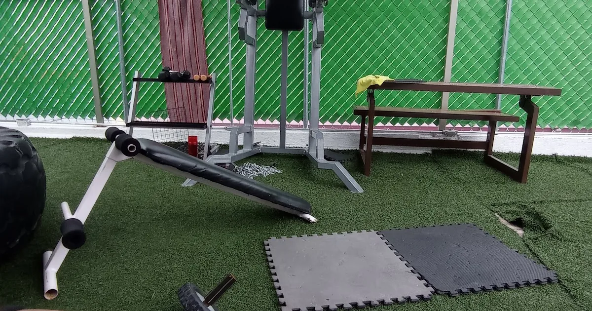 Fox Gym Pachuca