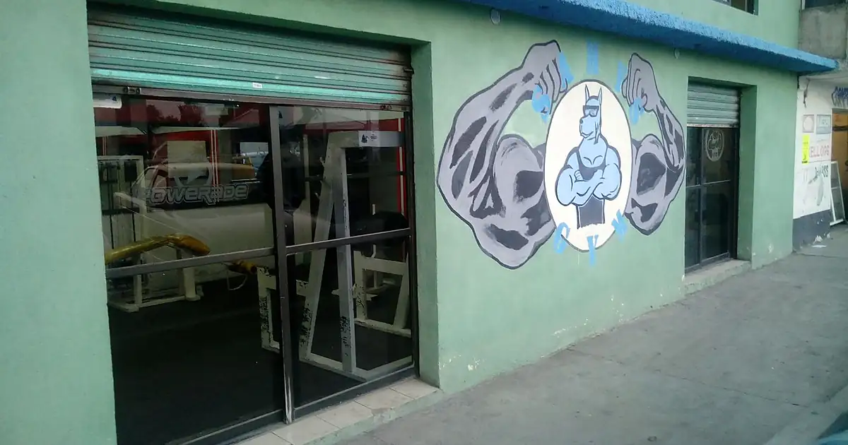 Samy’s GyM