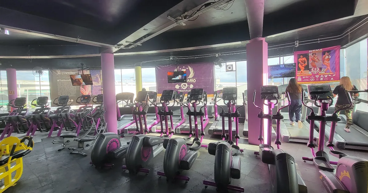 Pegasus Gym