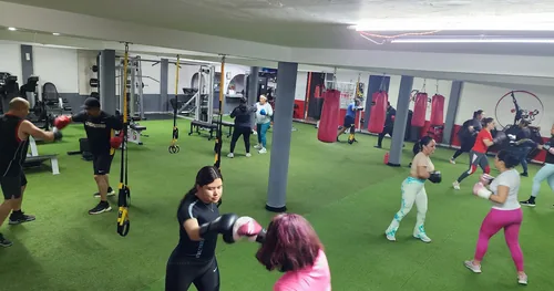 GL Fitness Gym, gimnasio en Mineral de la Reforma, Hidalgo