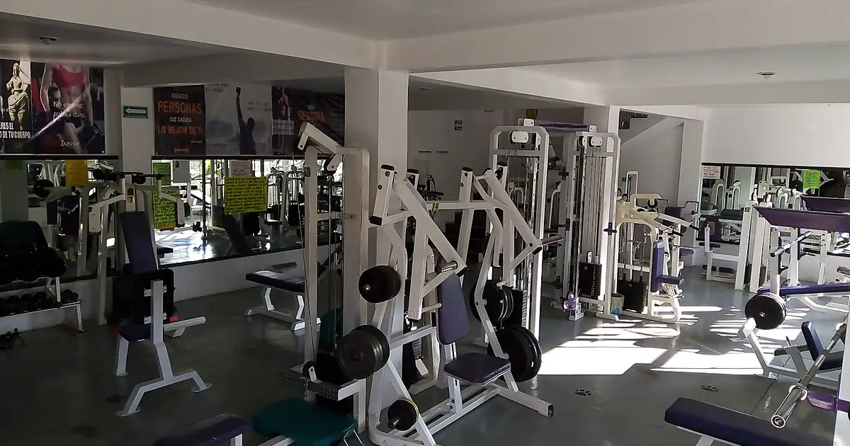 Mikes Gym