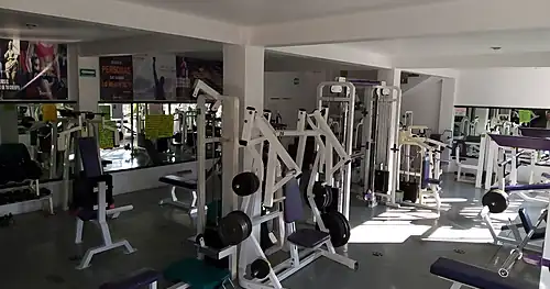 Mikes Gym, gimnasio en Mineral de la Reforma, Hidalgo