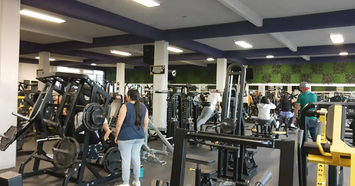 Cesar´s Gym