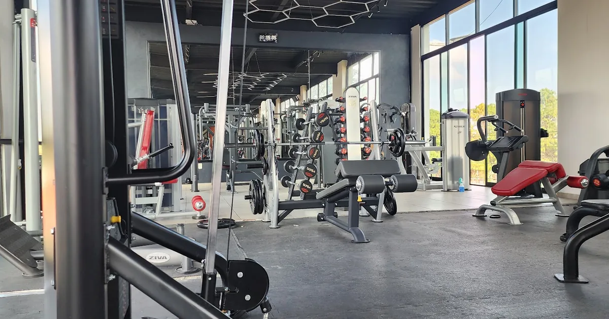 MF Lux Gym