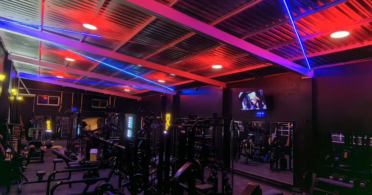 Exercixe Fitness