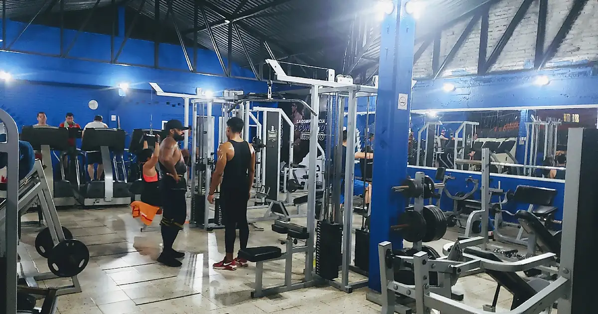 Perfect body gym