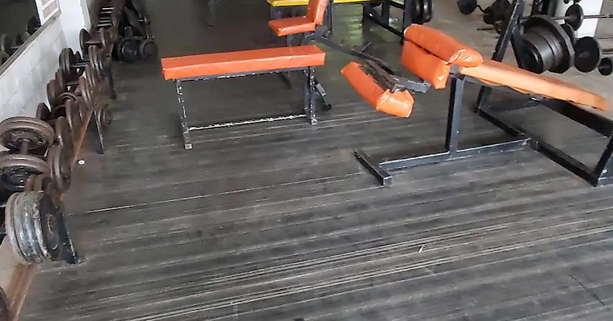 Taurus Gym