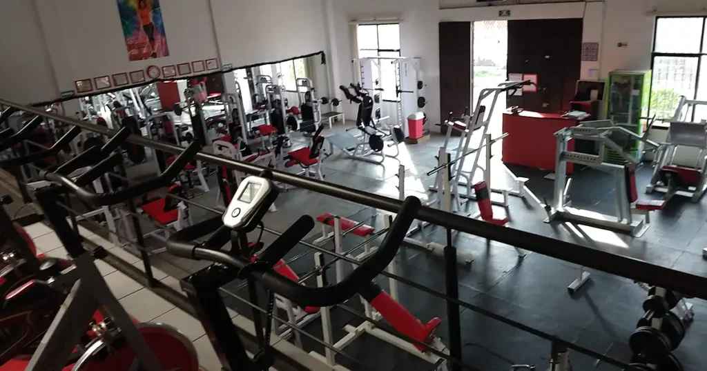 MX GYM Fitness