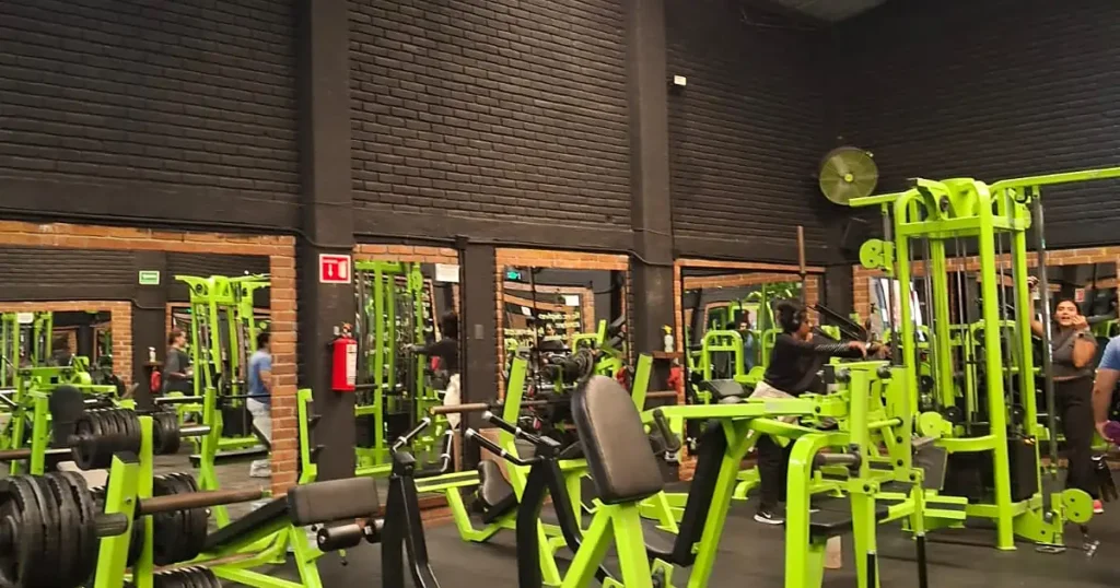 Kaly gym