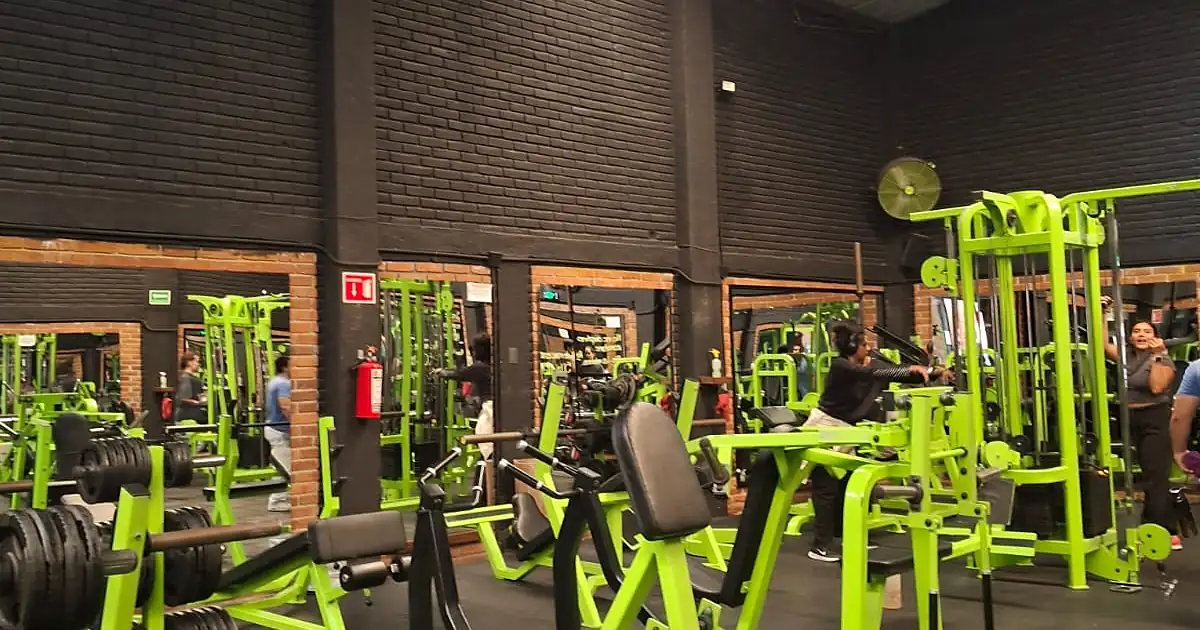 Kaly gym