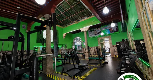 Eccogym, gimnasio en Morelia, Michoacán