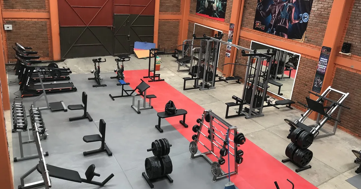 Linea Gym Morelia