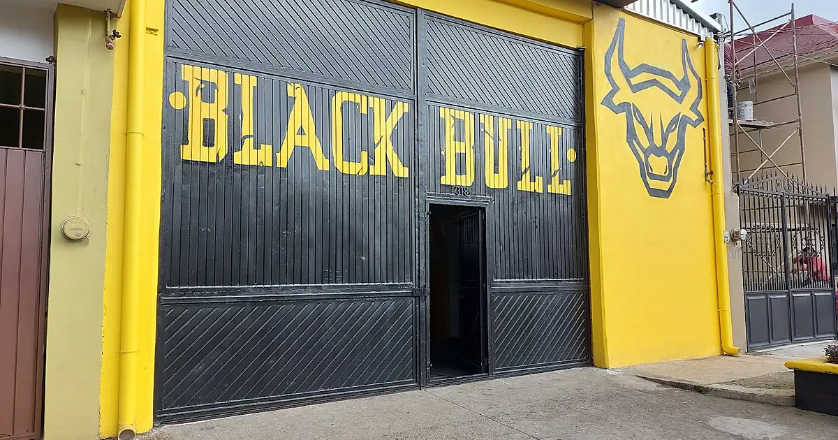 BLACK BULL ELITE FITNESS