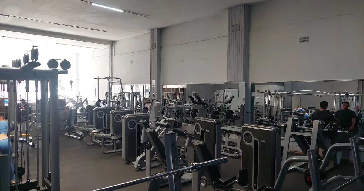 Shark gym upn