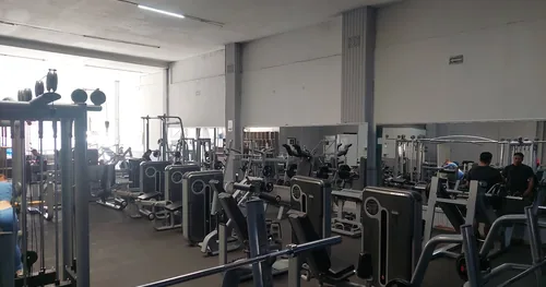 Shark gym upn, gimnasio en Uruapan, Michoacán