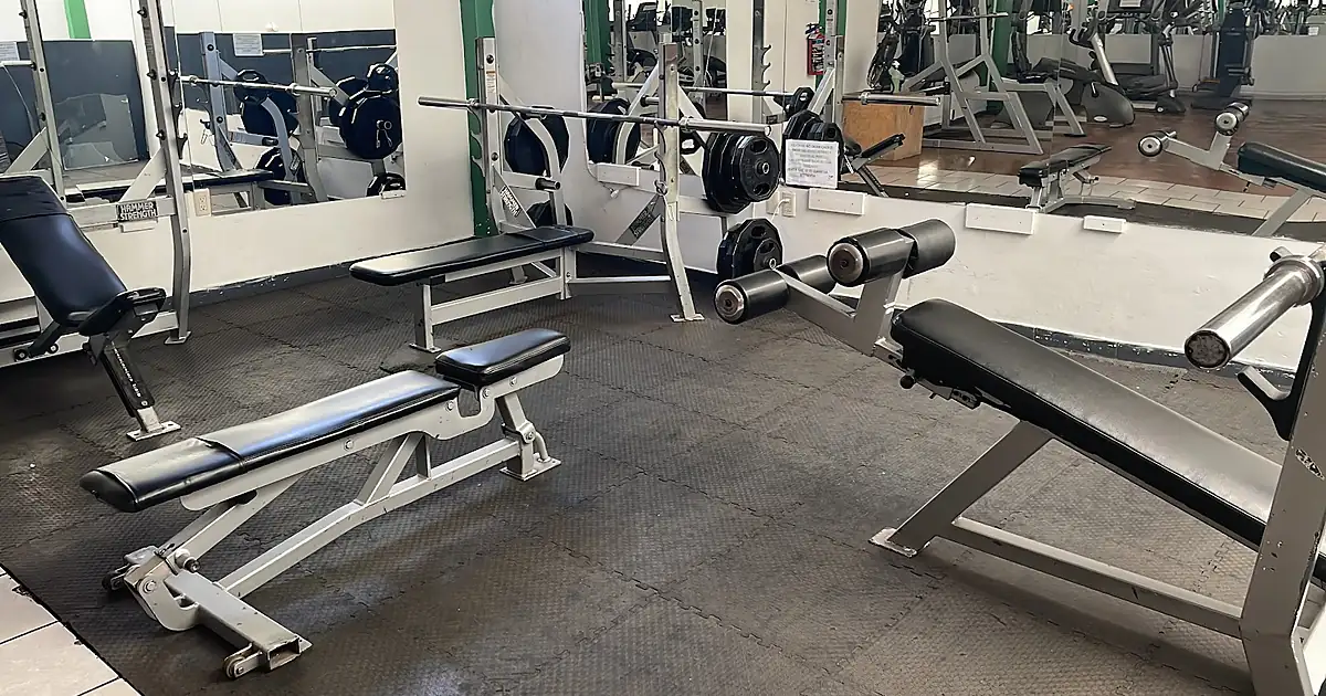 Alpha Fitness Gym