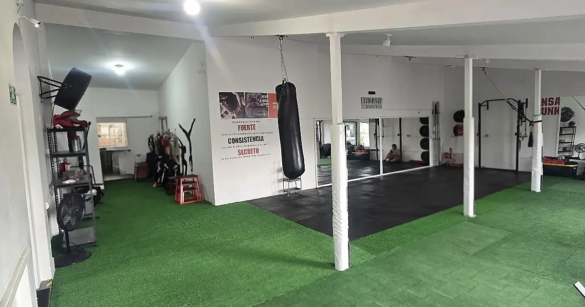 Insane Body Fitness