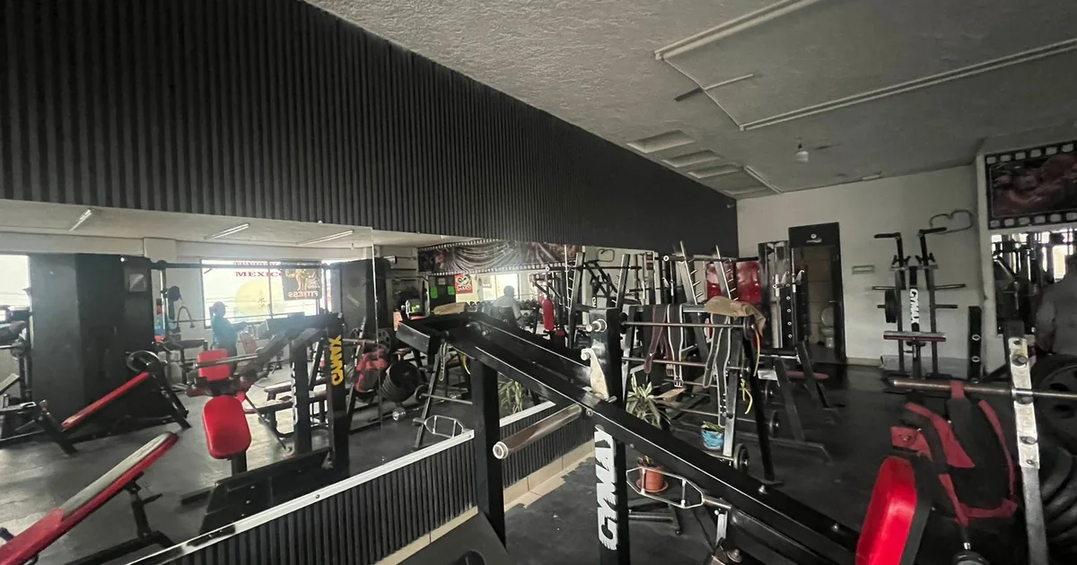 Wolf Gym Cuerna