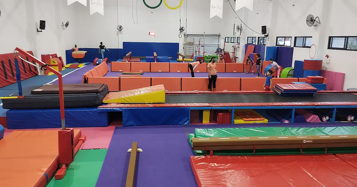 Flip ‘N’ Fly