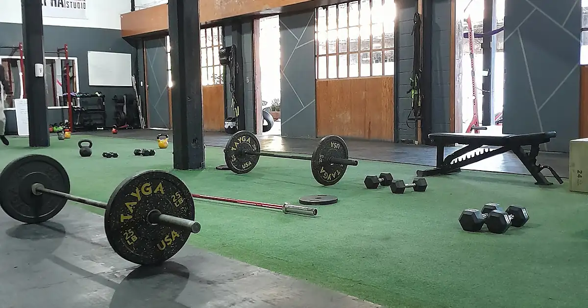 Alpha training studio