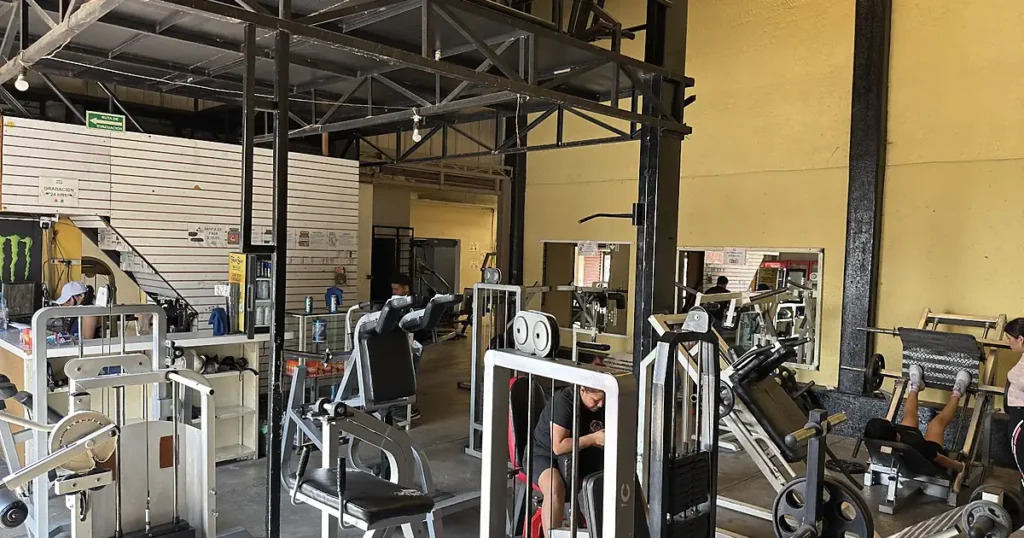 Army Gym