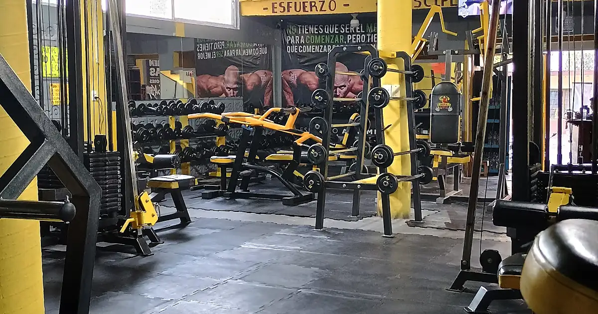 Roaa Gym