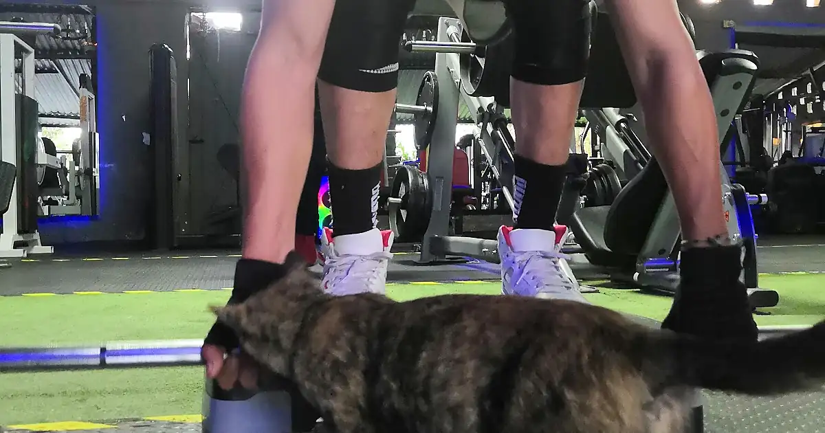 Be fit gym
