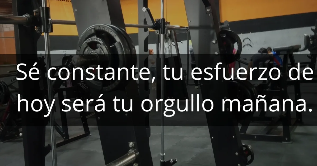 Steel Body Gym