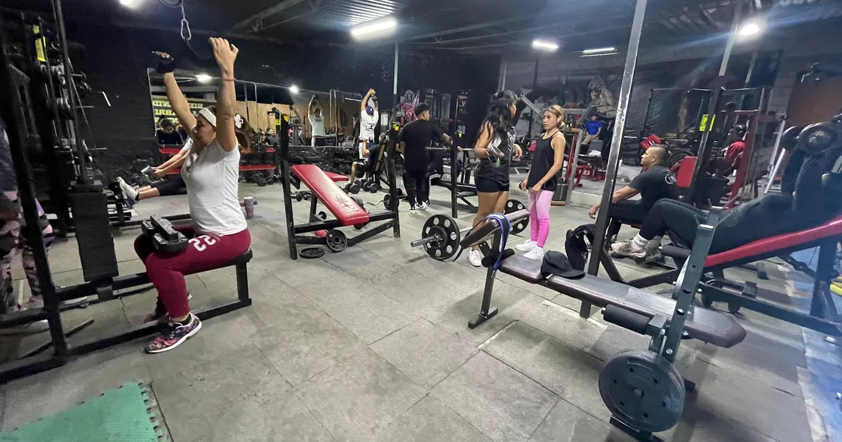 Gimnasio The Fitness King