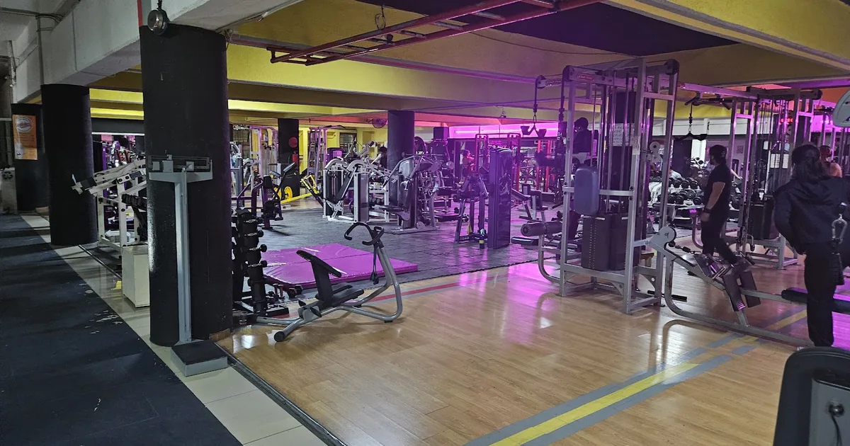 The «X» Gym Club