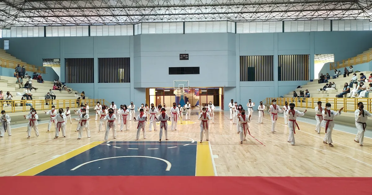 Gimnasio Universitario C.U.