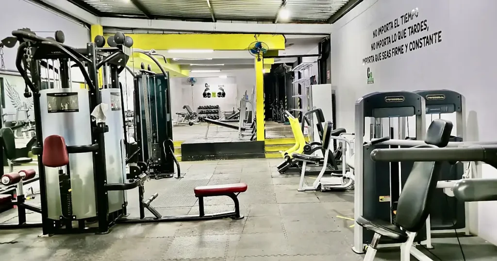 GIMNASIO INTEGRAL