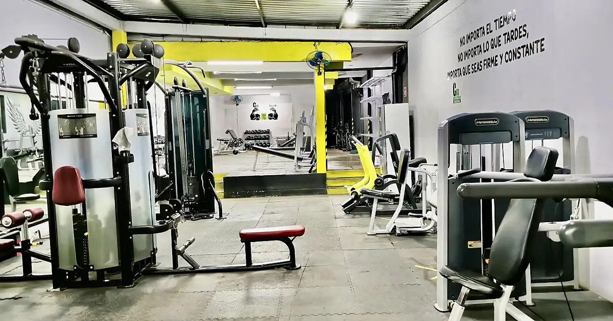 GIMNASIO INTEGRAL