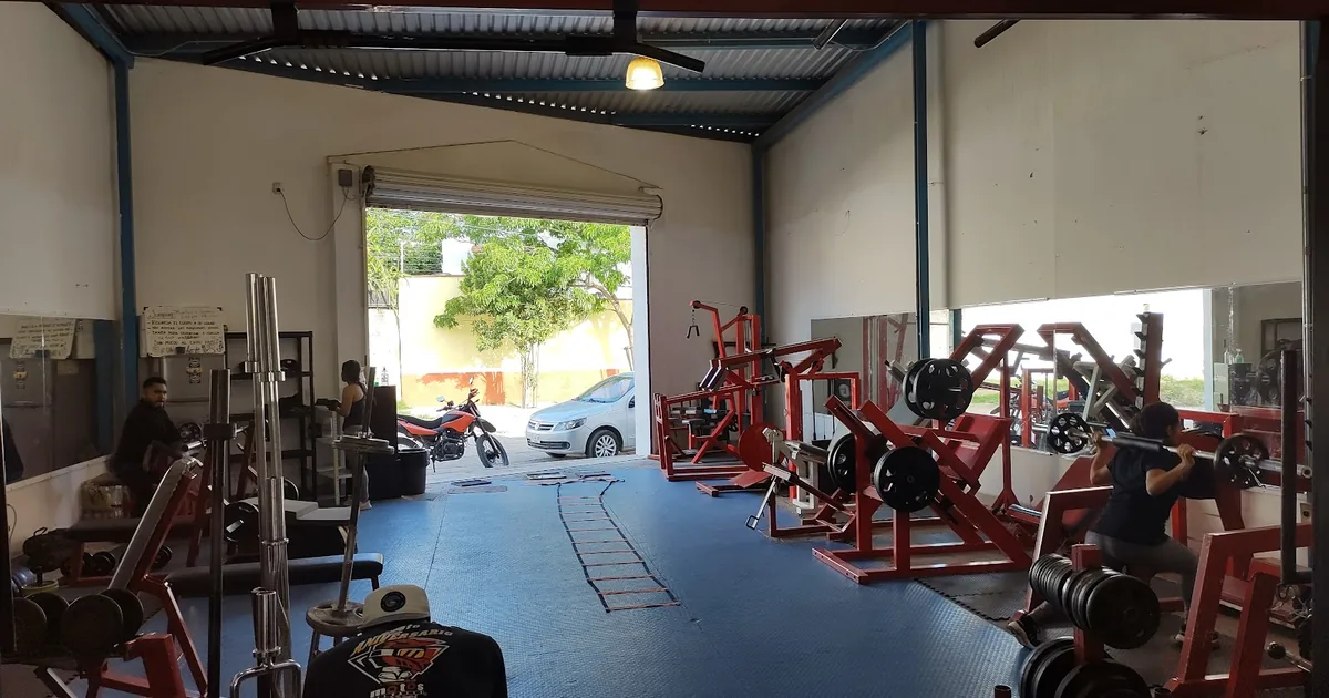 Evolution gym