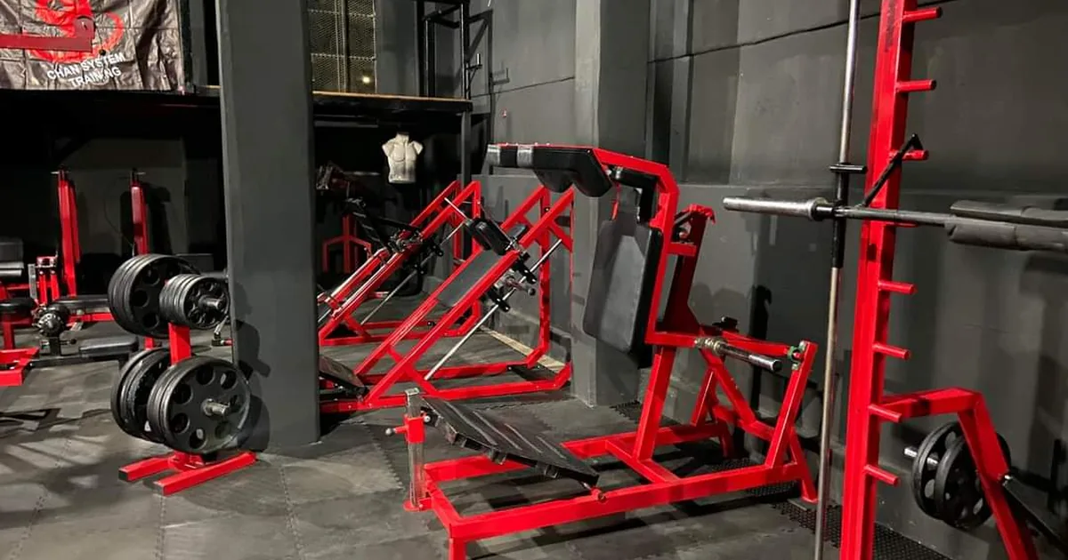 CHAN SYSTEM TRAINING GYM