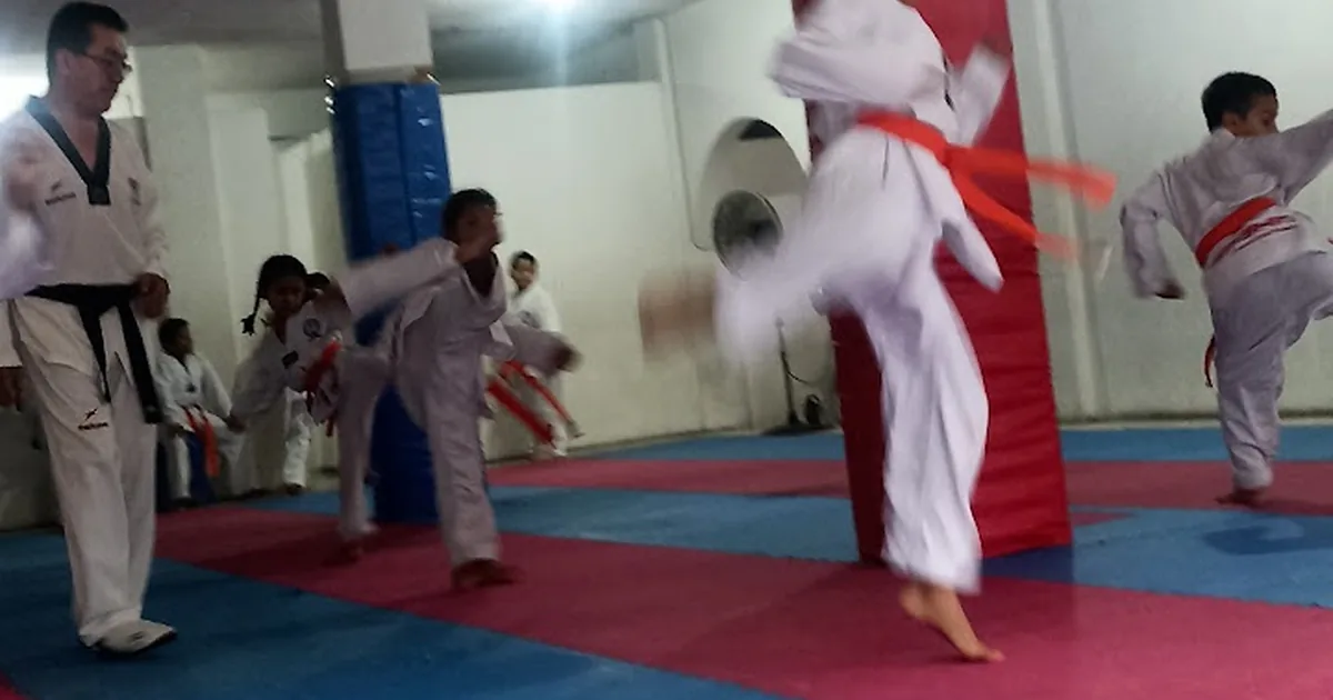 INSTITUTO SIP SHIN TAEKWONDO