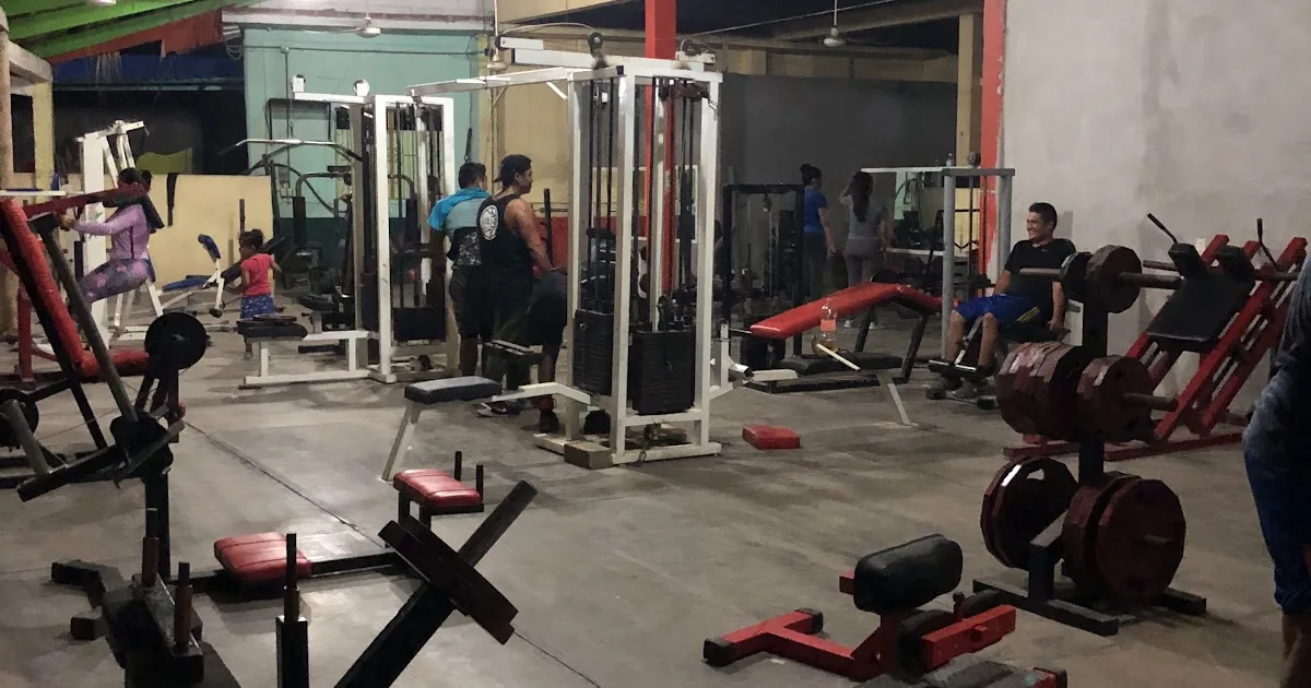 Zeus GYM
