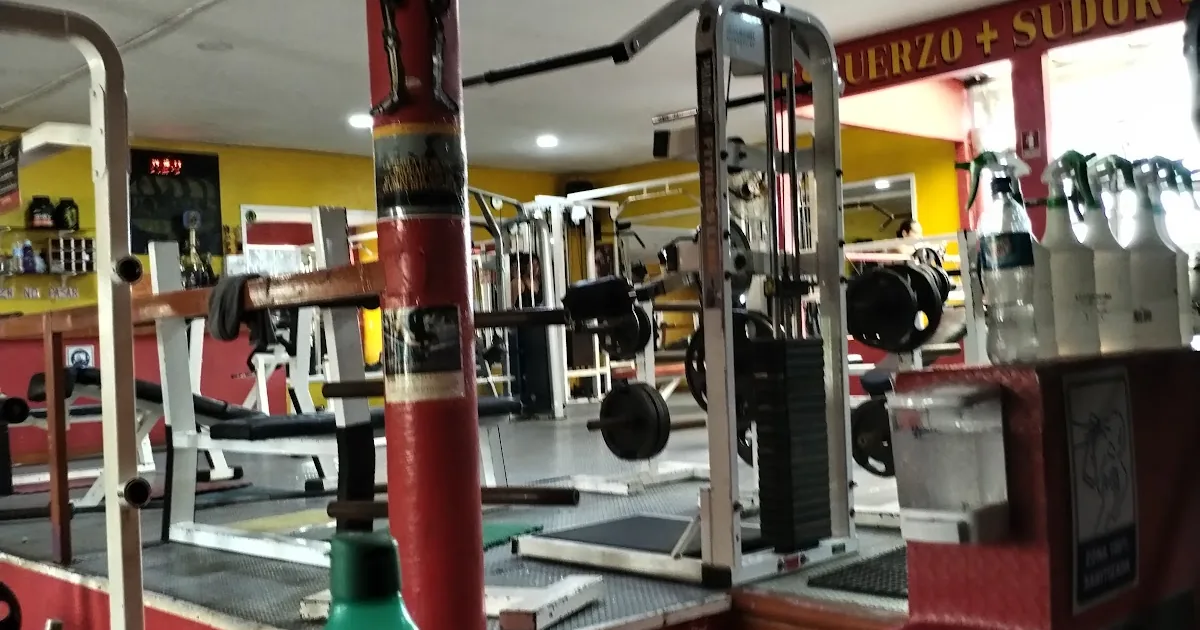 OLYMPUS GYM & FITNESS CENTER RV