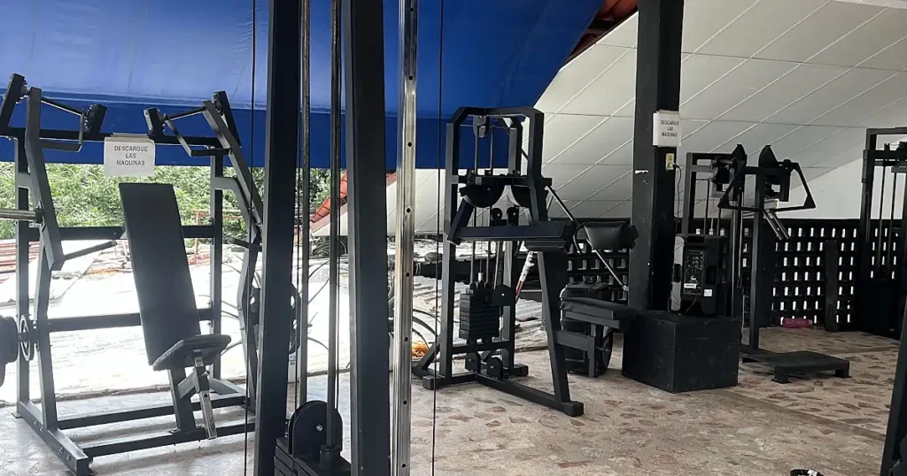 Aleph Gym