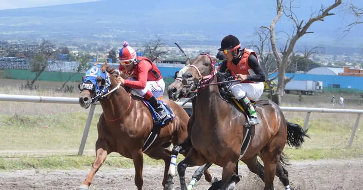 THE IRON HORSE – Centro Hipico