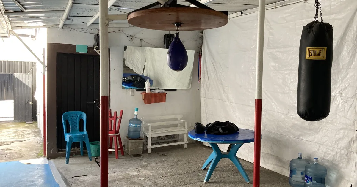 Gymnacio de boxeo
