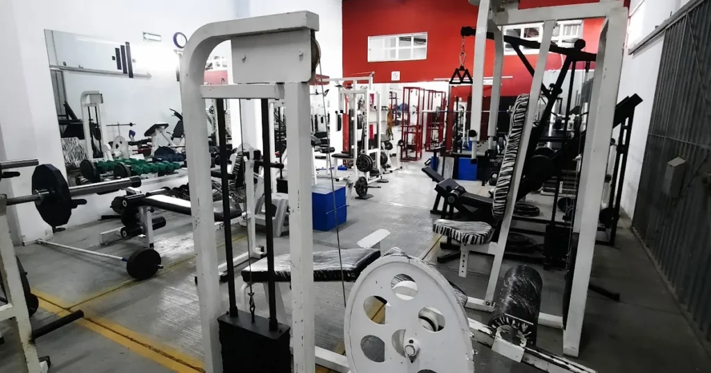 Gym Zeus